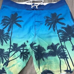 American eagle swim trunks